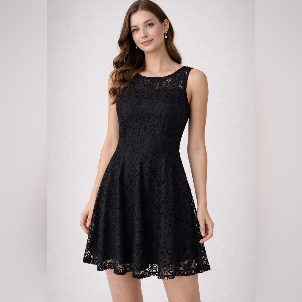 BB Dakota Black Lace Skater Dress